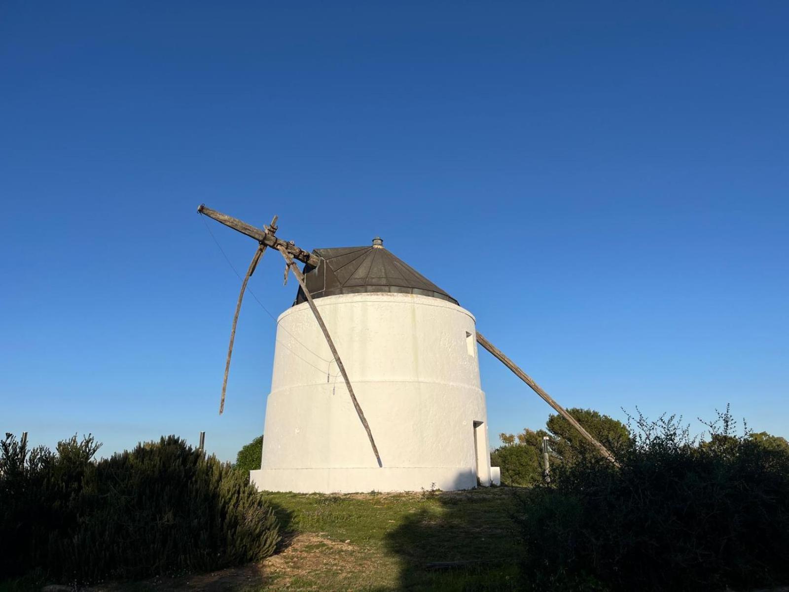 Estudio Los Mellis Vejer de la Frontera Exterior photo